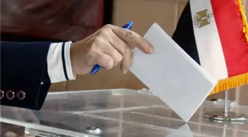 المصري الديمقراطي يطالب بضمان شفافية الانتخابات بعد توجيهات الرئيس السيسي ويرسل تقاريره للرئاسة